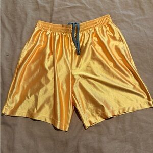 Men's Silky Dazzle Shorts